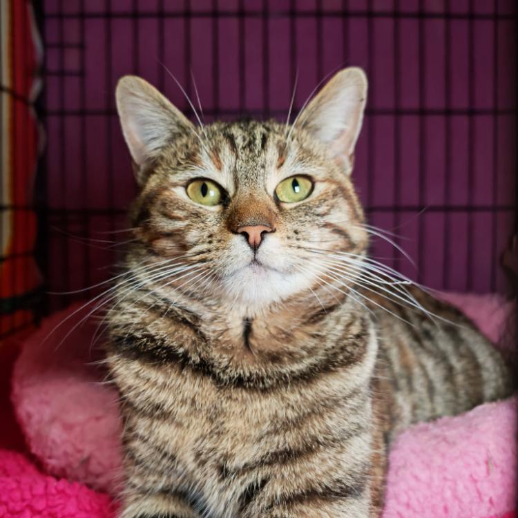 Photo de Shirley / Koji